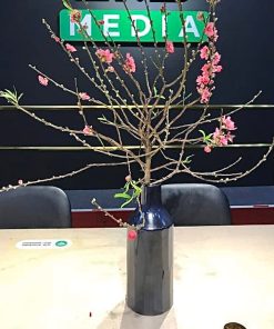 lọ hoa Bát Tràng dáng chai vát - Tiệm gốm Bát Tràng