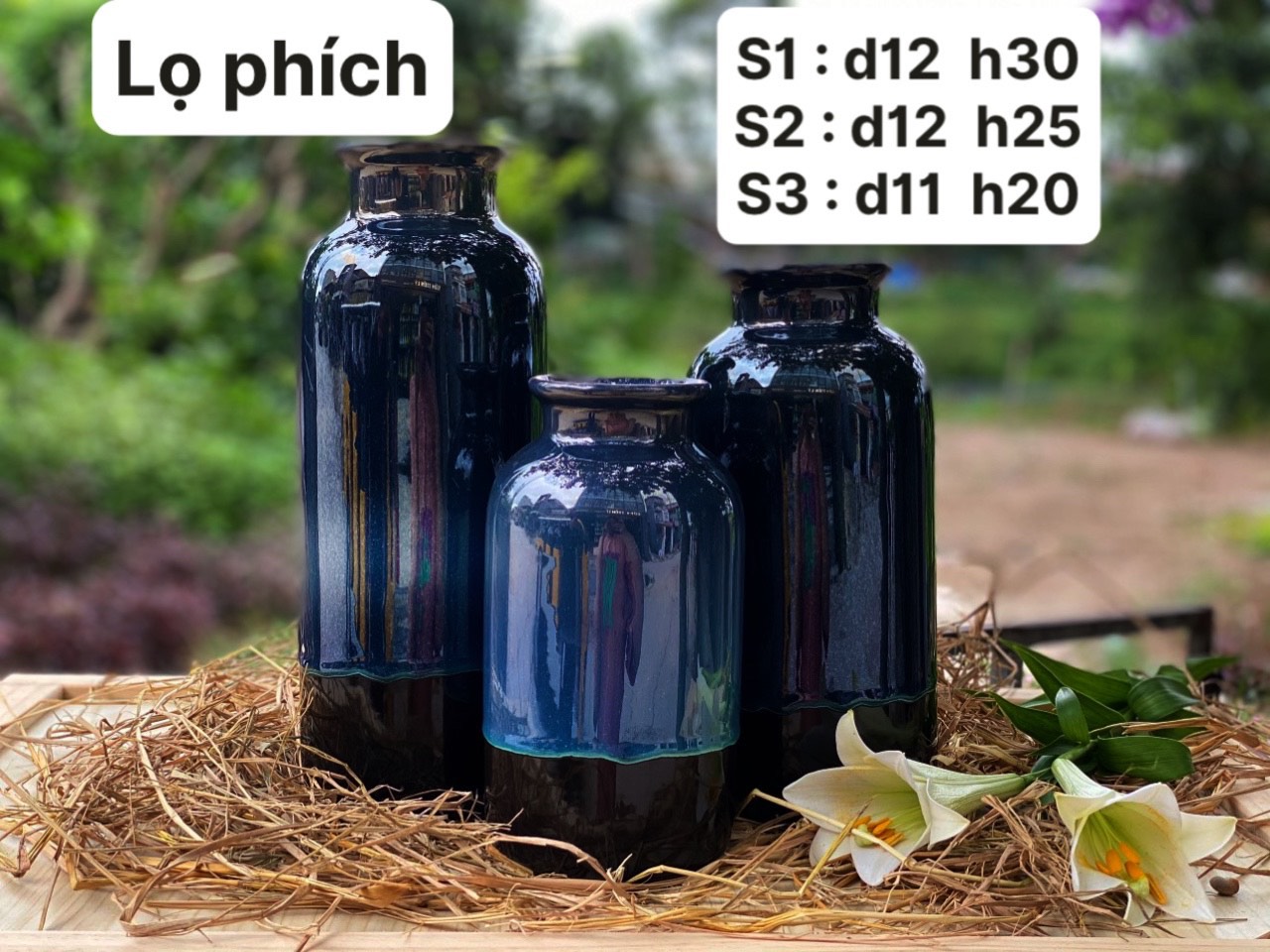 lọ hoa gốm sứ lọ phích lọ hoa gốm sứ lọ phích